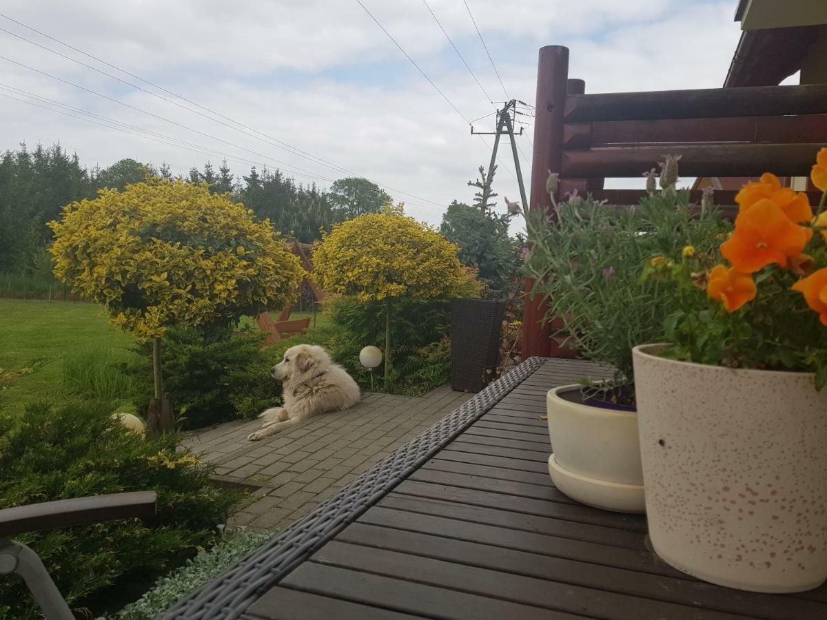 Domki I Pokoje Goscinne A A Malinowscy Stegna  Dış mekan fotoğraf